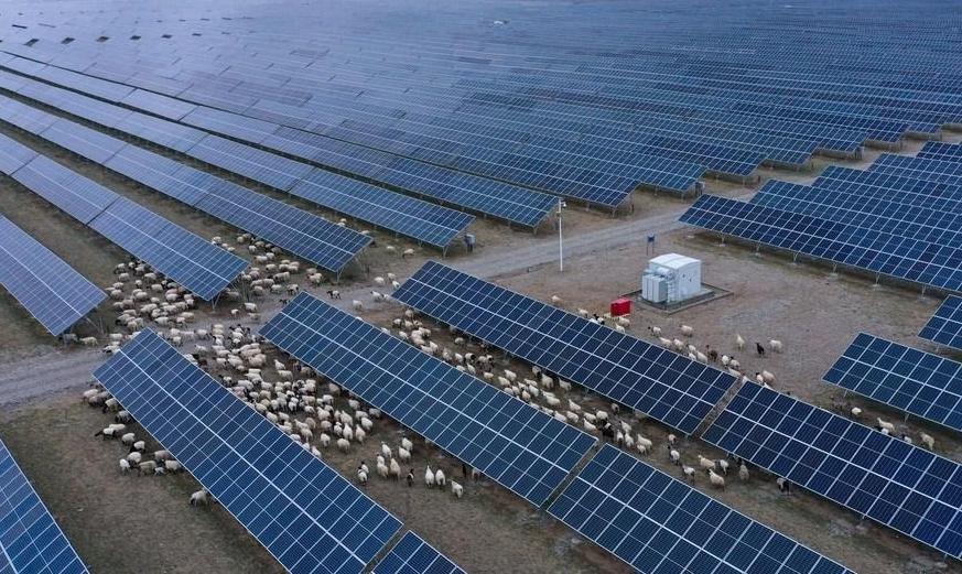 900 MW photovoltaic project launched on Qinghai-Tibet Plateau