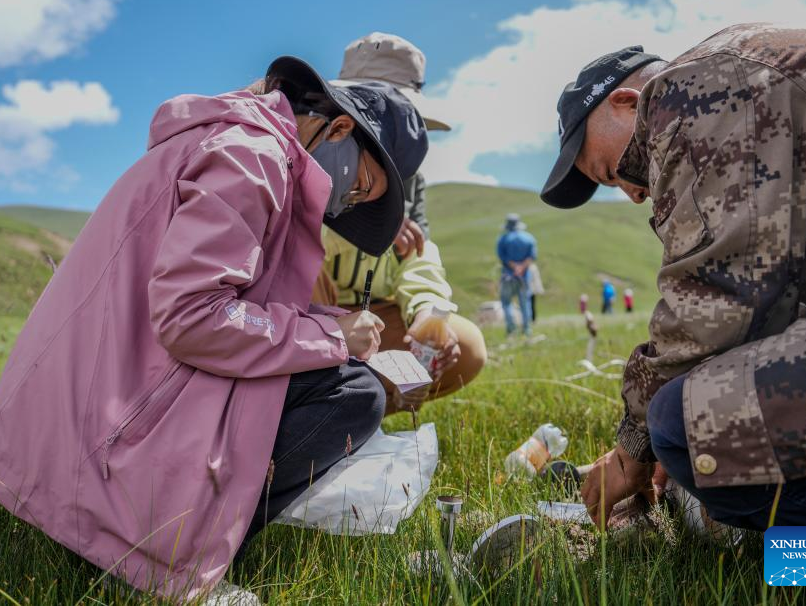 Chinese scientists work during expedition in Sanjiangyuan area