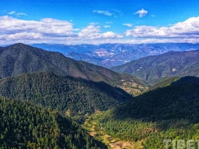 Women’s Mountain Patrol Team of Badro Village: Persevering Protectors of Green Homeland