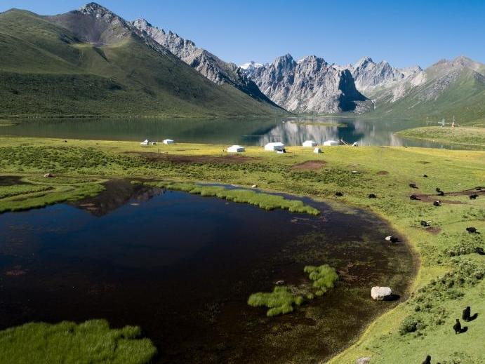 Expedition shows Xizang's improving biodiversity