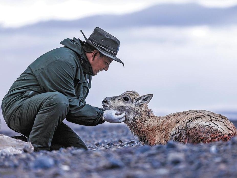 Dedication of plateau patrollers moves filmmakers