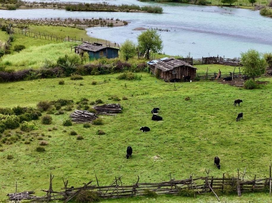 One year on, law on Qinghai-Xizang Plateau ecosystem protection bears fruit