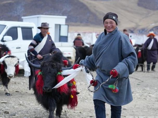 Cooperative dividend distributing ceremony held in Zangbi Township, Lhari County