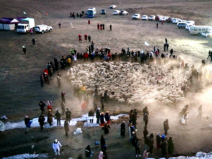 Stunning view of sheep herding on ice in SW China's Xizang