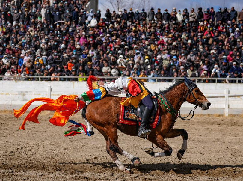 Feature: Galloping into Tibetan New Year: Lhasa horse race celebrates festivities and pride