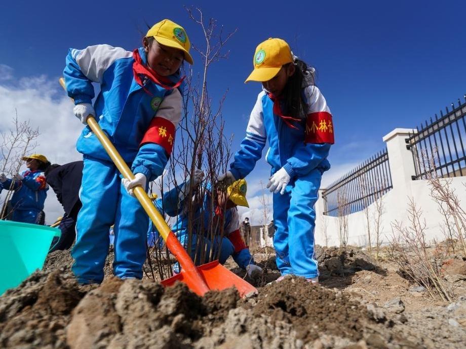 China's highest city sets new green milestones