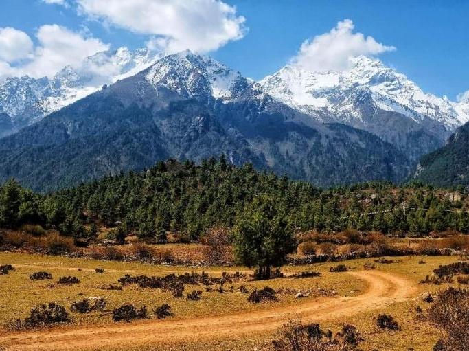 Bridging borders: Xizang's Shigatse strengthens trade, ties with South Asia