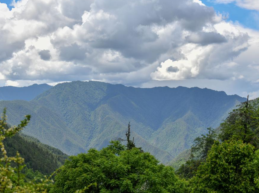 Study uncovers mechanism for grassland carbon sink on Qinghai-Tibet Plateau