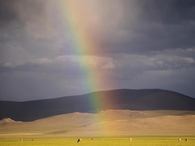 China releases new grassland vegetation map of 