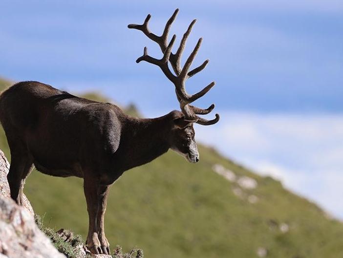 Qinghai pioneers green growth with ecology-first strategy