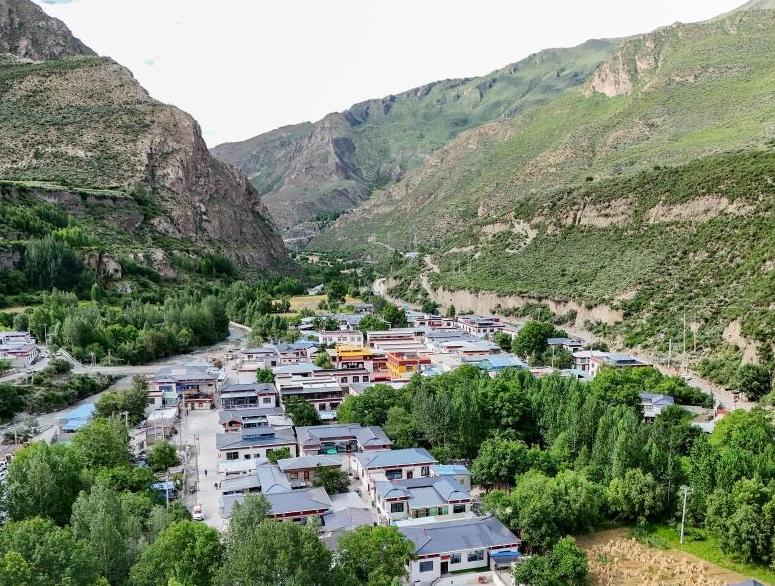 Specialty plateau industries thrive in Xizang's booming economy