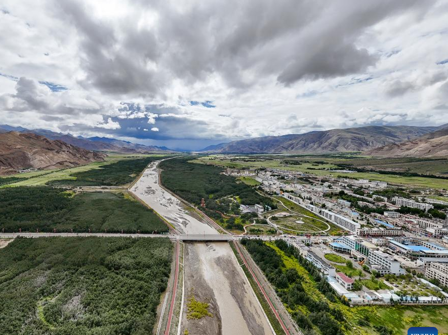 sea buckthorn forest in China's Xizang