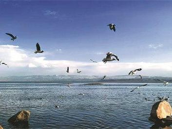 Conservation lifts delicate ecosystem