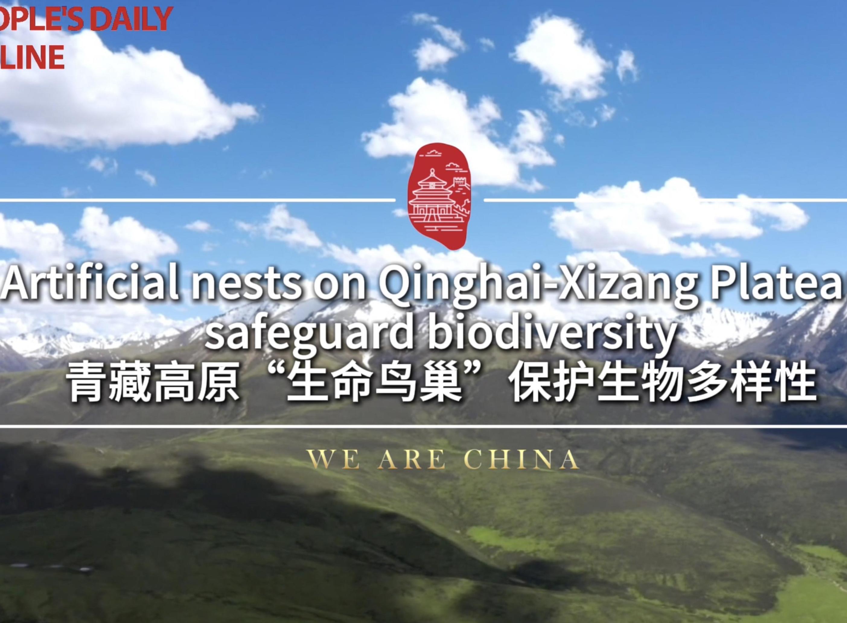 Artificial nests on Qinghai-Xizang Plateau safeguard biodiversity