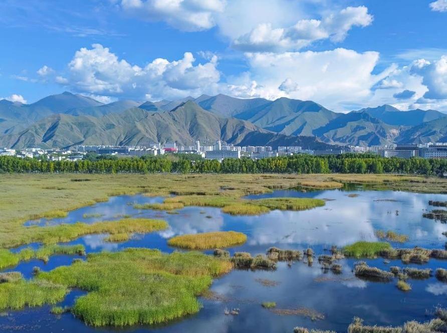 Lhasa's mountain landscapes flourish in green