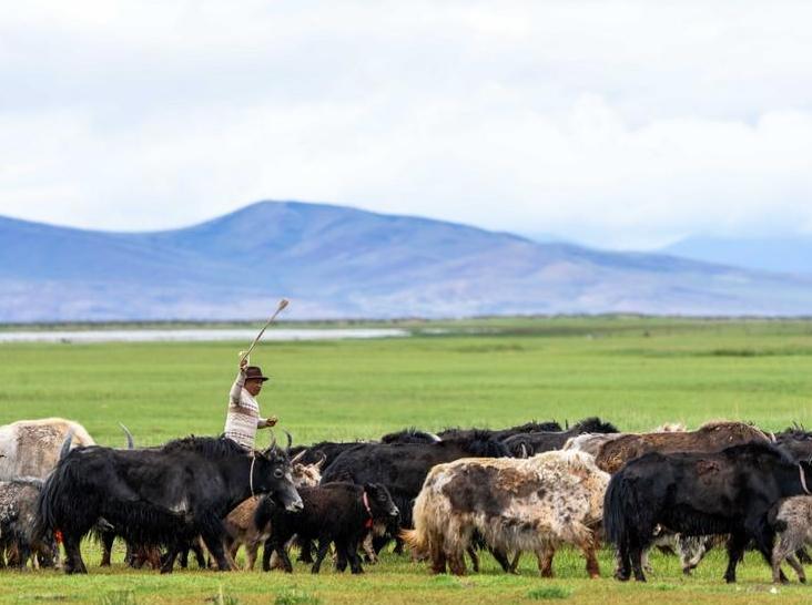 China champions global cooperation on wetland conservation at COP15
