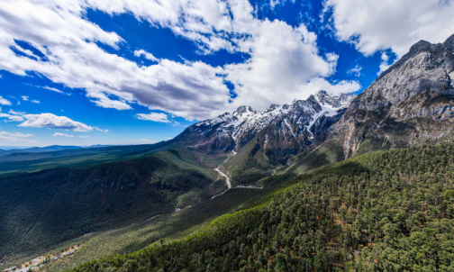 Study advances understanding of soil microorganisms on alpine ecosystems