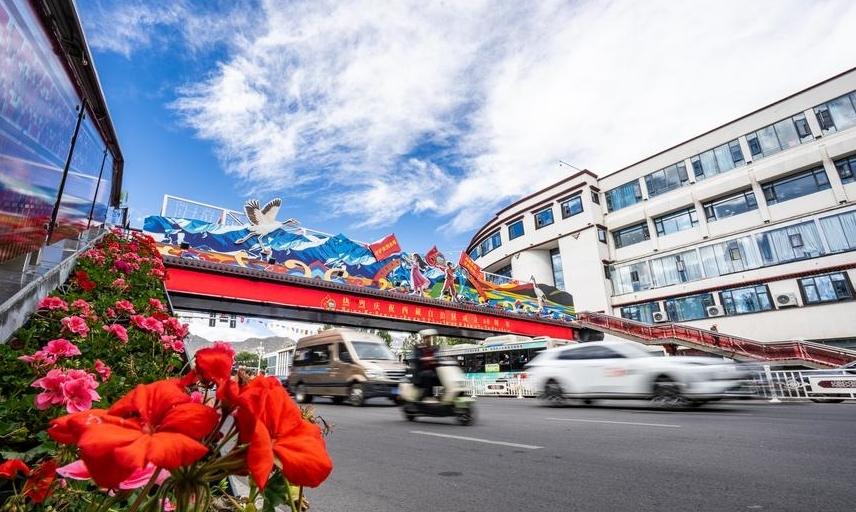 Full coverage of radio, television enriches villagers' lives in Xizang