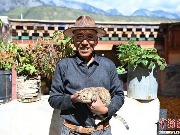 Xiangcheng, Sichuan: Cat Reverence Interwoven into Daily Life