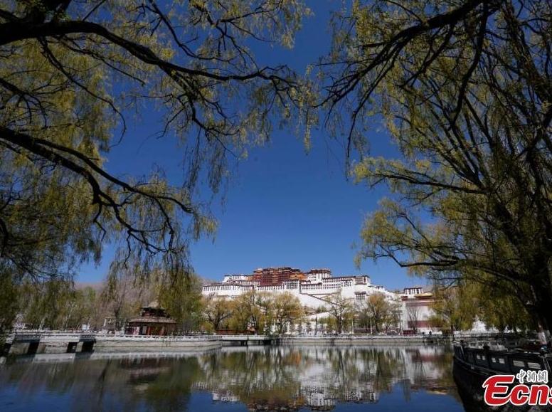 Xizang's progress in living standards, infrastructure showcases China's development model: German scholar