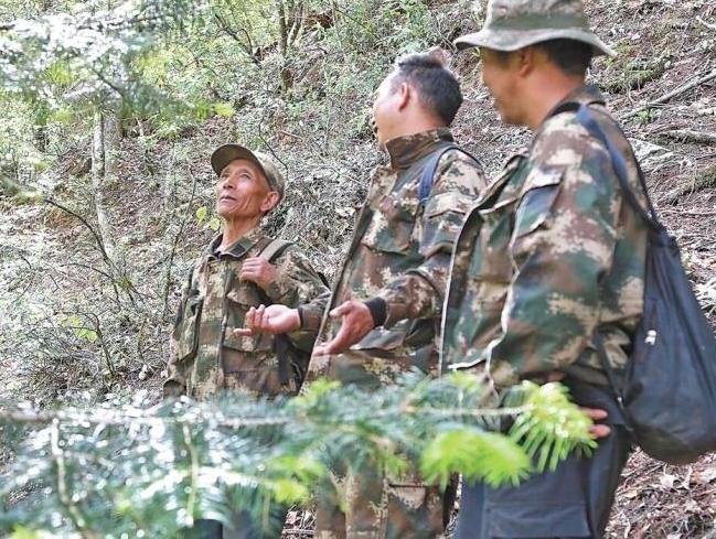 Father and son devoted over 30 years to protecting the Yunnan golden hair monkeys
