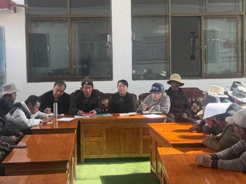 Xinhua Commentary: Cultural preservation empowers Xizang's rural modernization