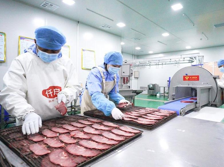 The 'New Pastoral Song' at the foot of Qilian Mountains