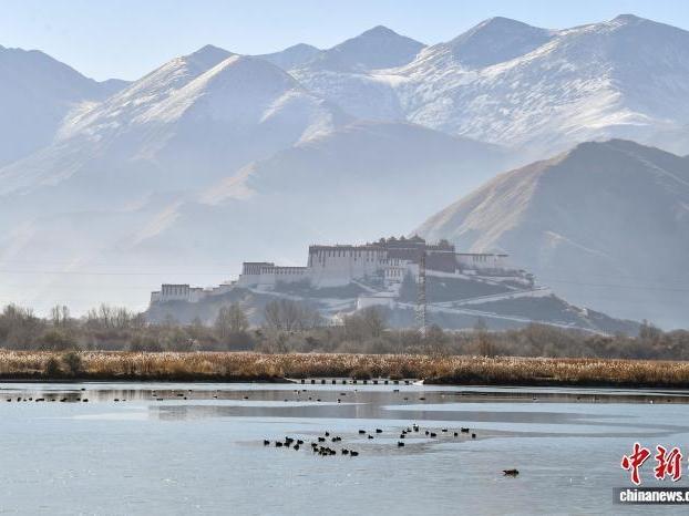 The magnificent painting of 