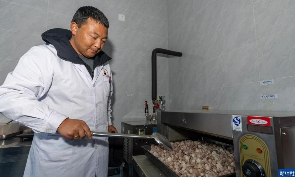 Traditional Tibetan medicine gains modern appeal