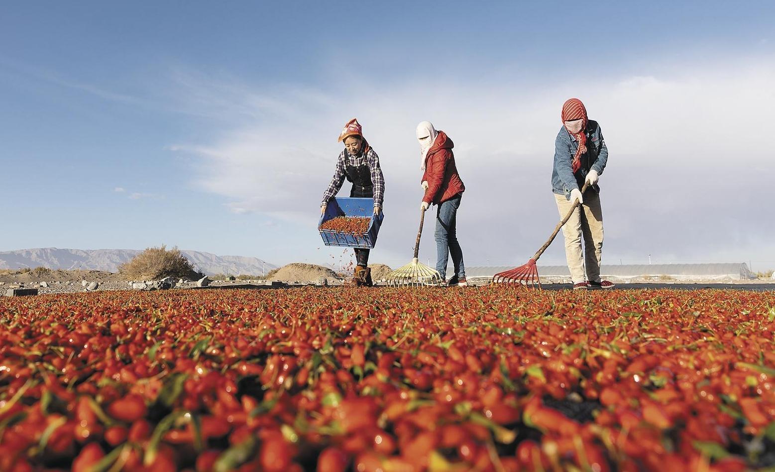 We jointly create a new chapter in Qinghai