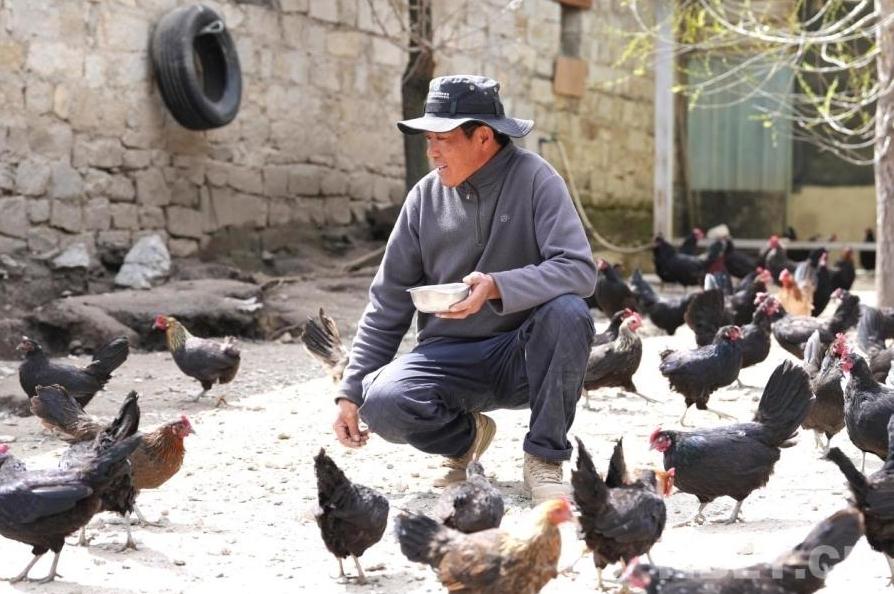 Yadong County: Specialty Farming Boosts Development and Prosperity