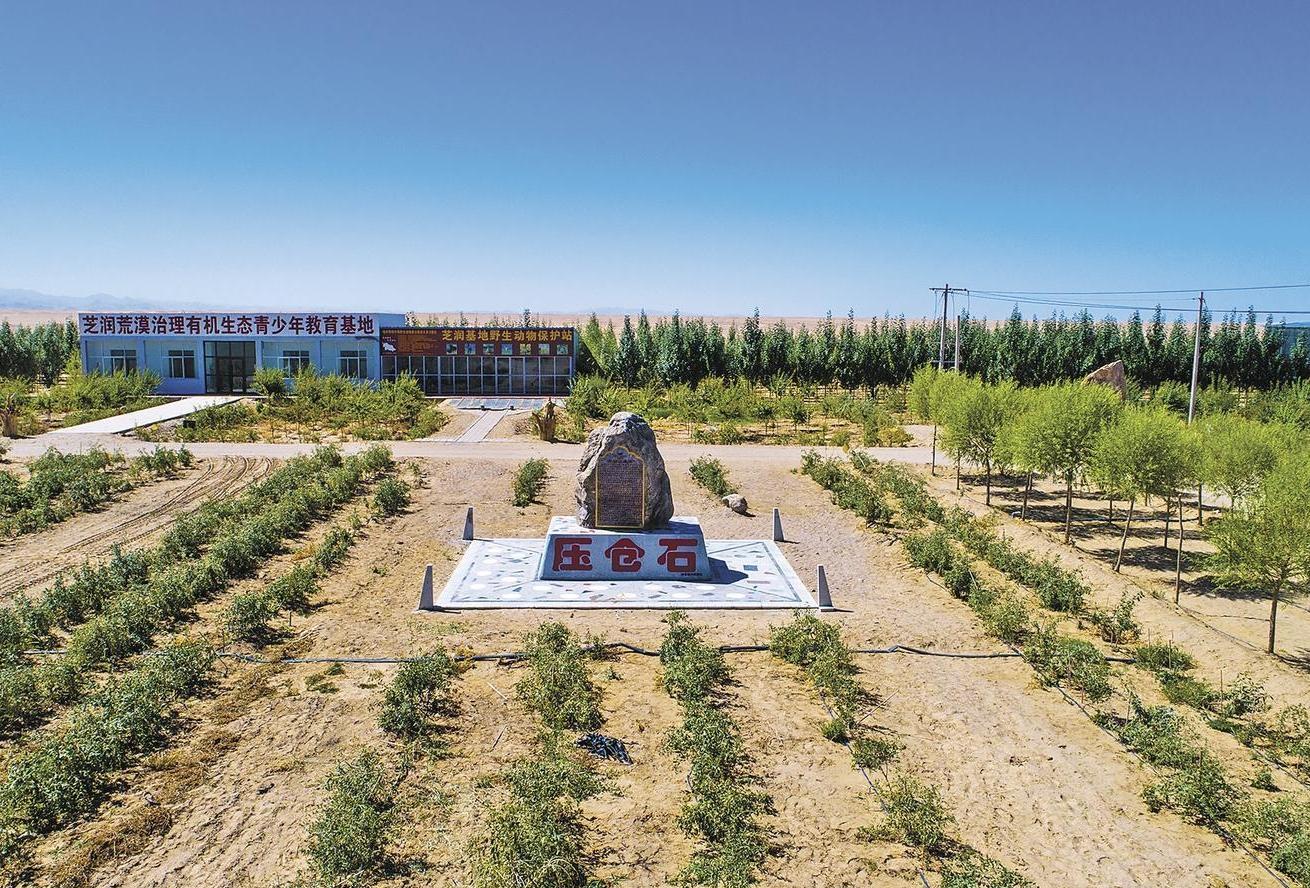 Greening achievements in Qinghai