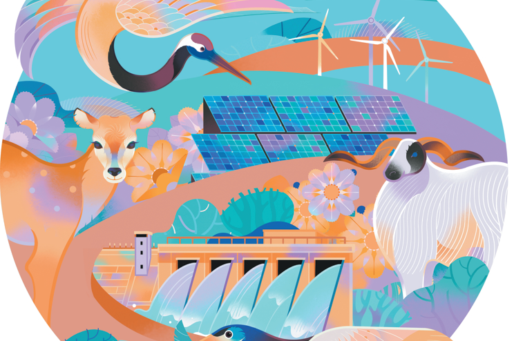 Ecology and economics are allies, not rivals