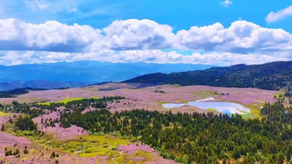 The beautiful Bigu Lake in Shangrila City.