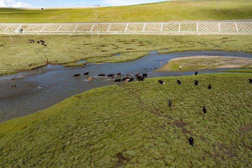 The ecologically beautiful 'Heavenly Road' and plateau pastoral songs