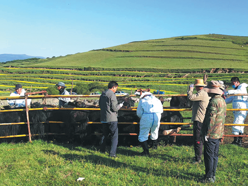 Rural vitalization law drives Datong's success