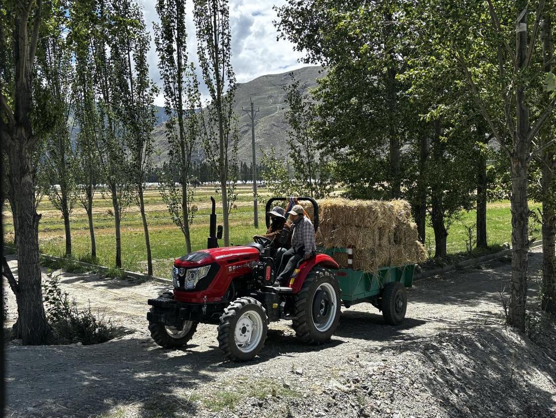 Xizang barley farmers take advantage of new technology