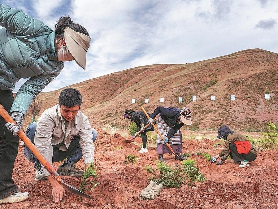 Researchers dig deep, go across the nation to bring plant species back