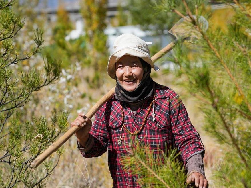 Greening and income increase through afforestation in Lhoka, Xizang Autonomous Region