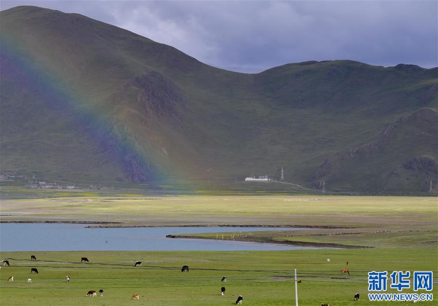 View of Yamzho Yumco lake in Shannan, Tibet