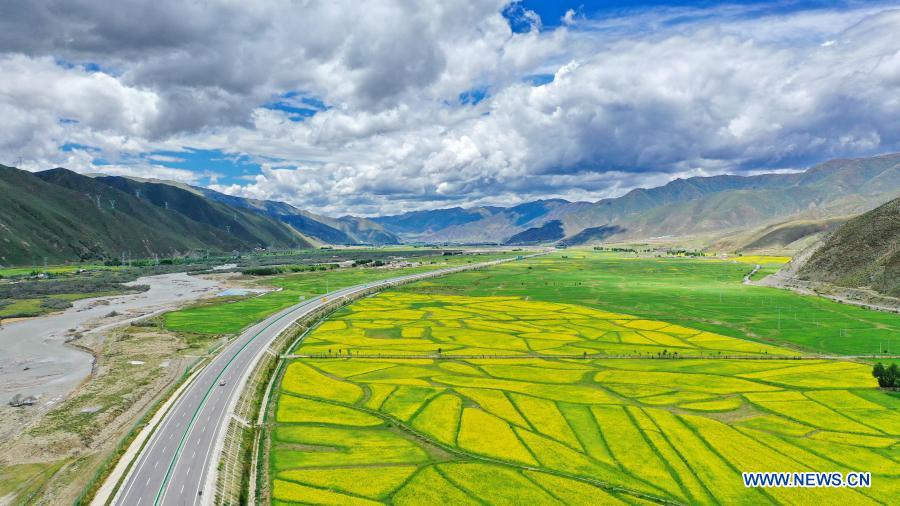 Rural highway and high-grade road network set up in Tibet