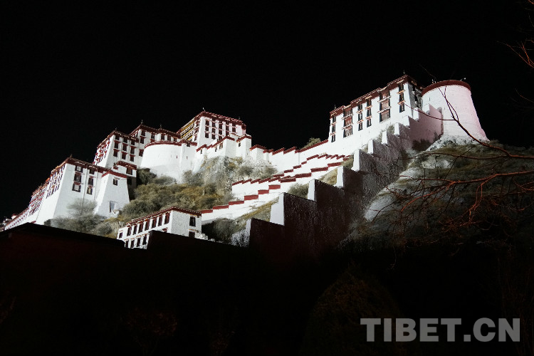 Potala Palace from different perspectives