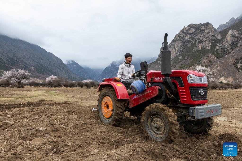 Villagers attend spring ploughing ceremony in Lhari County, Tibet