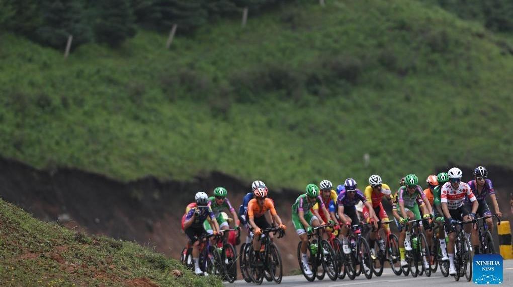Riders compete during stage 3 of 22nd Tour of Qinghai Lake cycling race
