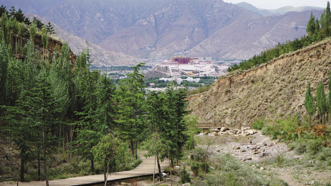 Once barren Xiga mountain of Lhasa now covered in lush greenery