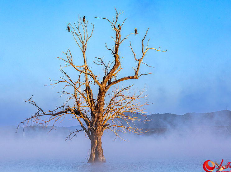 7th Winter Int'l Bird Watching Festival held in Shangri-La, SW China's Yunnan