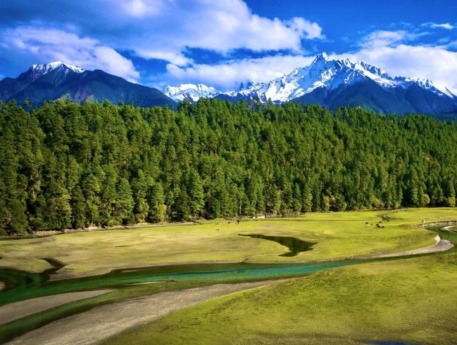 Pristine landscapes reflect conservation success in SW China's Xizang