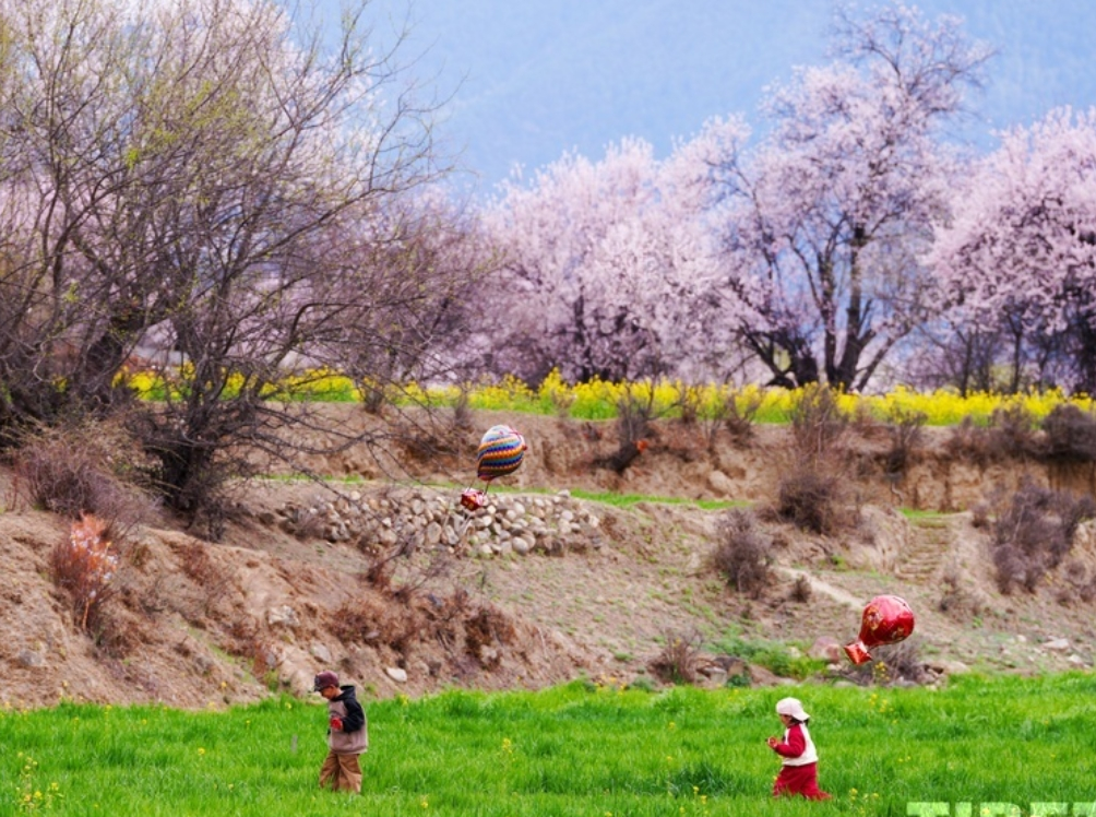 Beautiful Scenery of Spring on snowy plateau