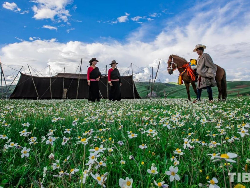 Exploring Picturesque Sichuan along the National Highway 317