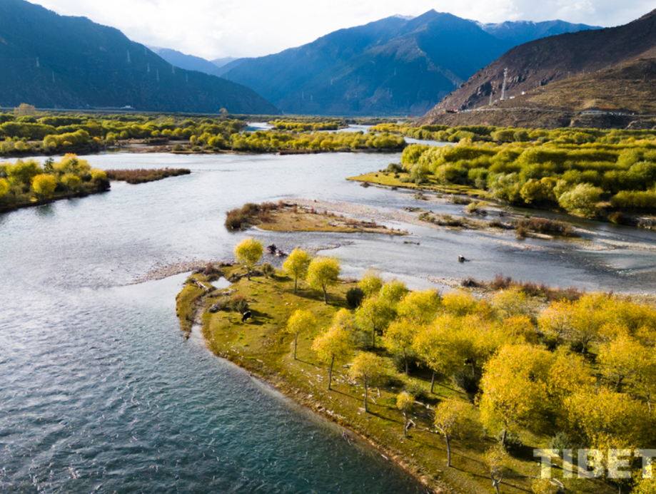 Picturesque Yani Wetland in Autumn
